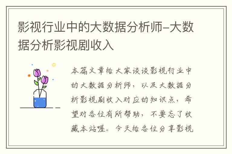 影视行业中的大数据分析师-大数据分析影视剧收入