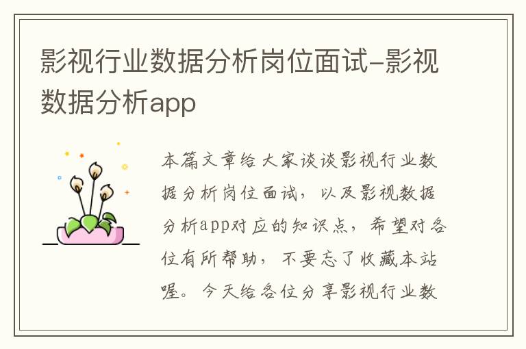 影视行业数据分析岗位面试-影视数据分析app