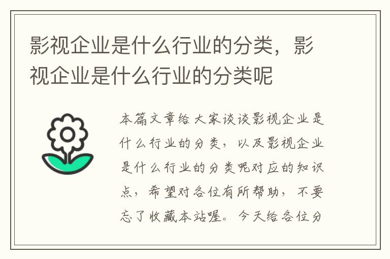 影视企业是什么行业的分类，影视企业是什么行业的分类呢