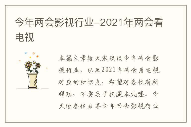 今年两会影视行业-2021年两会看电视