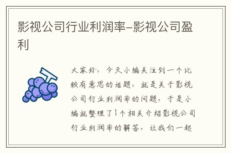 影视公司行业利润率-影视公司盈利