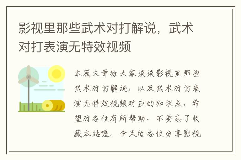 影视里那些武术对打解说，武术对打表演无特效视频