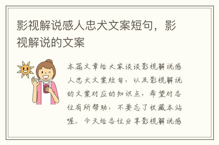 影视解说感人忠犬文案短句，影视解说的文案