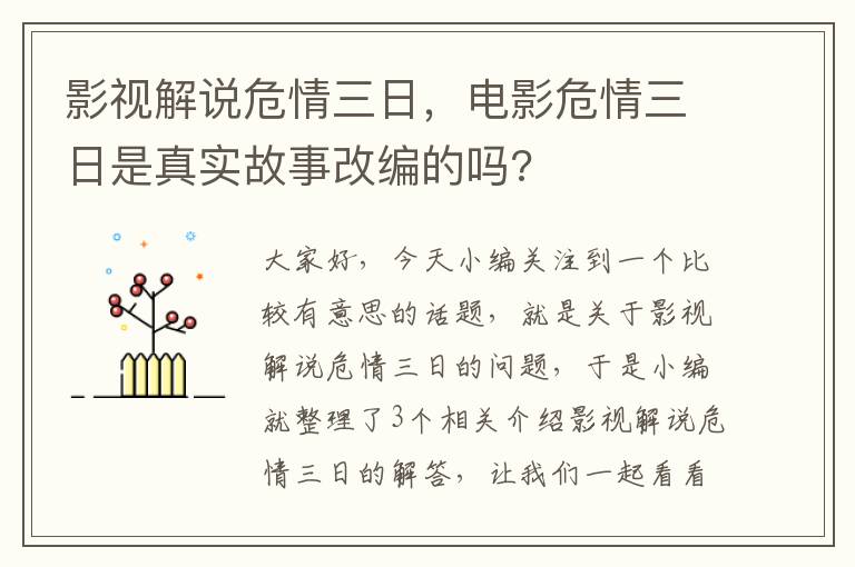 影视解说危情三日，电影危情三日是真实故事改编的吗?