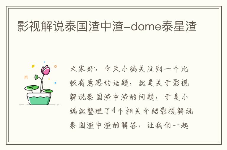 影视解说泰国渣中渣-dome泰星渣