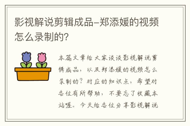 影视解说剪辑成品-郑添媛的视频怎么录制的？