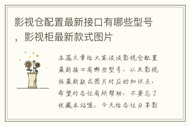 影视仓配置最新接口有哪些型号，影视柜最新款式图片