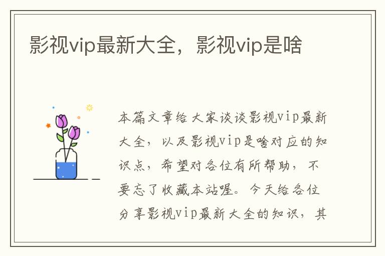 影视vip最新大全，影视vip是啥