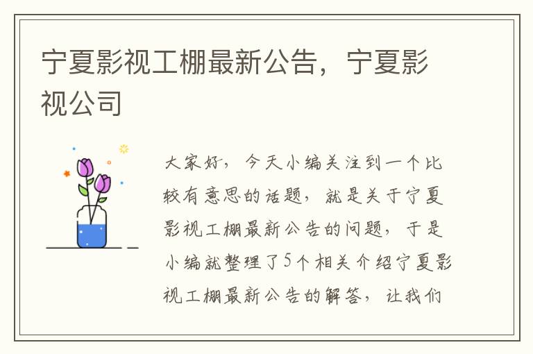 宁夏影视工棚最新公告，宁夏影视公司