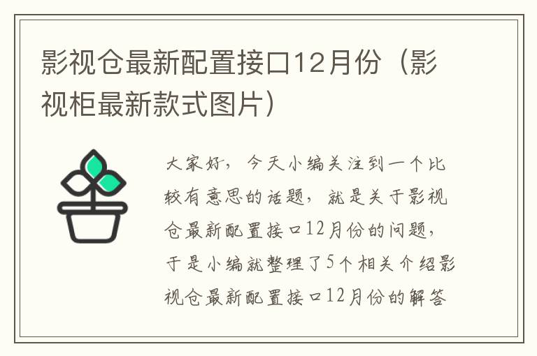 影视仓最新配置接口12月份（影视柜最新款式图片）