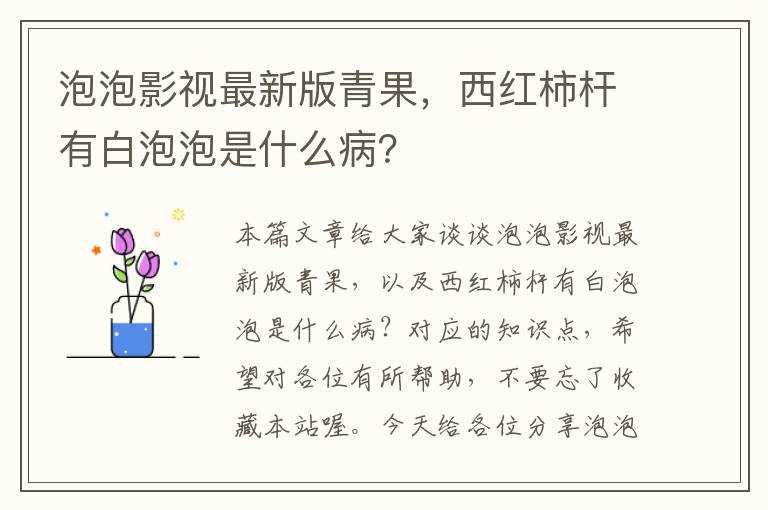 泡泡影视最新版青果，西红柿杆有白泡泡是什么病？