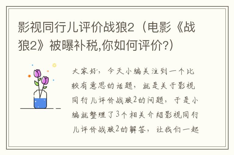 影视同行儿评价战狼2（电影《战狼2》被曝补税,你如何评价?）