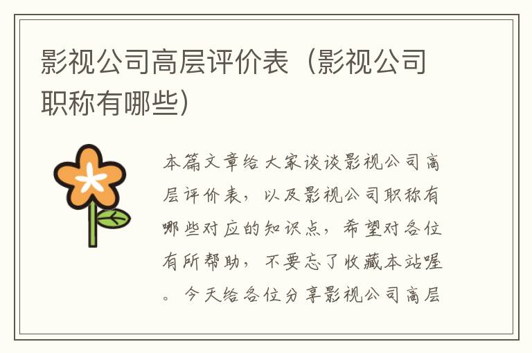 影视公司高层评价表（影视公司职称有哪些）