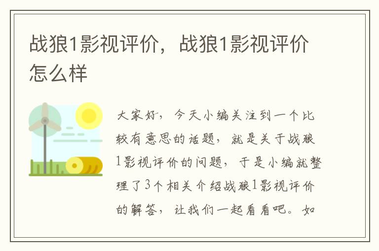 战狼1影视评价，战狼1影视评价怎么样