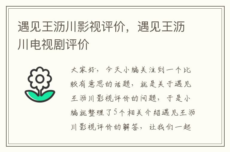 遇见王沥川影视评价，遇见王沥川电视剧评价