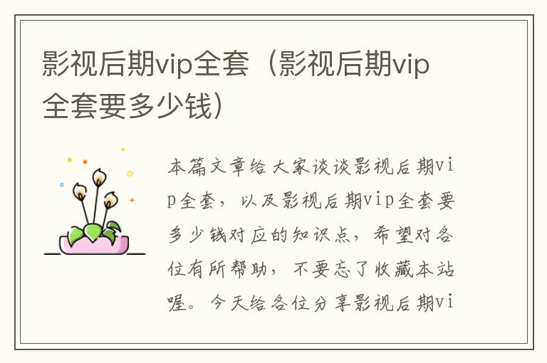 影视后期vip全套（影视后期vip全套要多少钱）