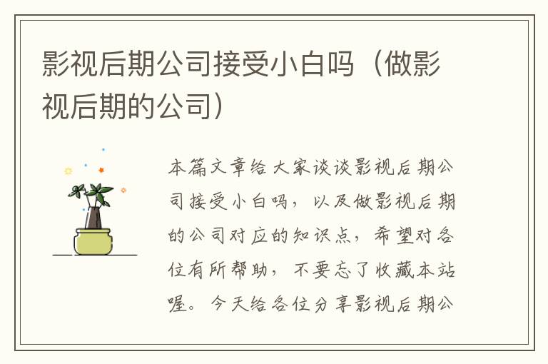 影视后期公司接受小白吗（做影视后期的公司）