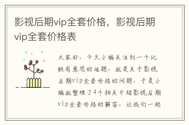 影视后期vip全套价格，影视后期vip全套价格表