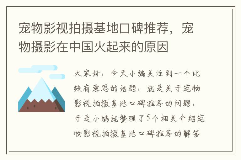 宠物影视拍摄基地口碑推荐，宠物摄影在中国火起来的原因