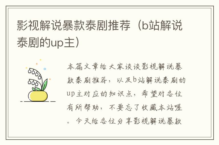 影视解说暴款泰剧推荐（b站解说泰剧的up主）