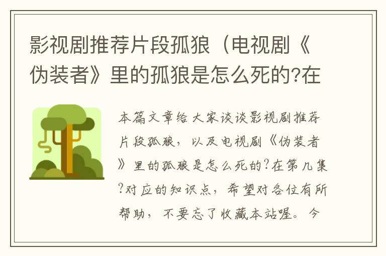 影视剧推荐片段孤狼（电视剧《伪装者》里的孤狼是怎么死的?在第几集?）