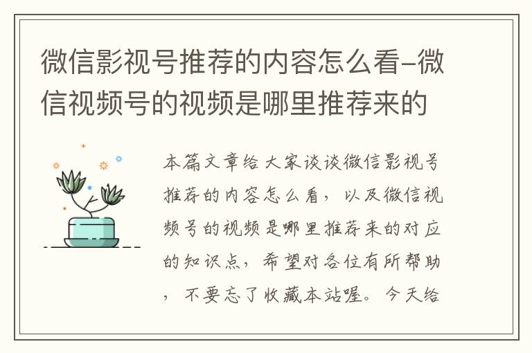 微信影视号推荐的内容怎么看-微信视频号的视频是哪里推荐来的